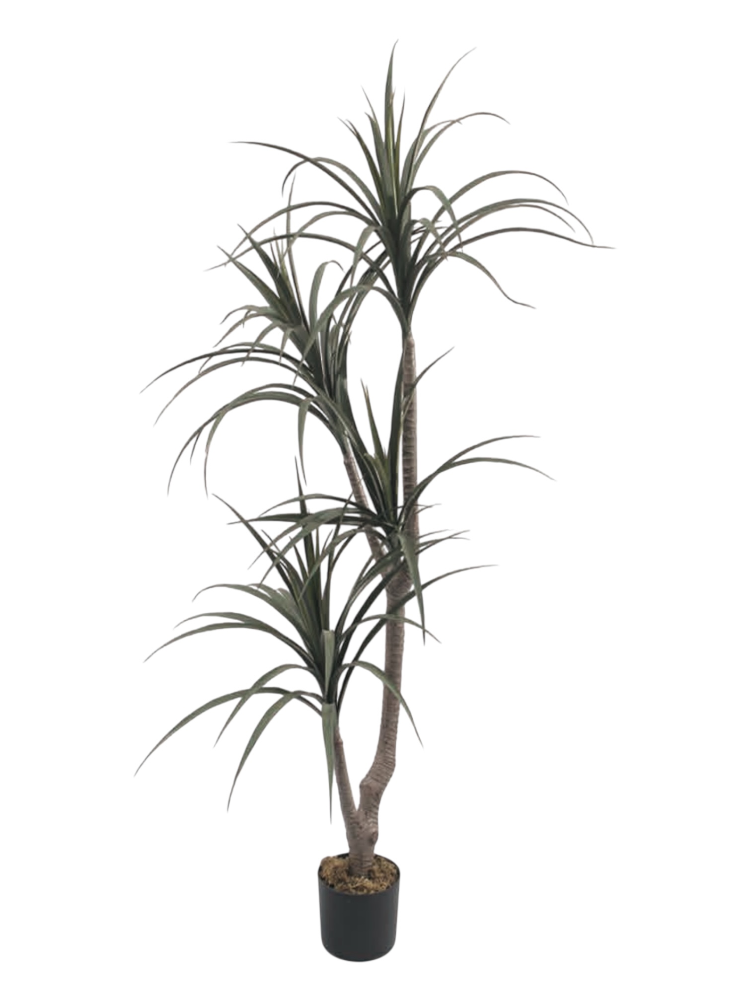 Artificial Yucca Plant 165cm