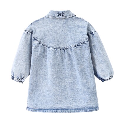 Harper Denim Dress Denim Blue 00-2 (6 pack)