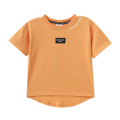 Slade Scoop Tee clay 00-2 (6 pack)