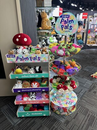 PALM PAL DISPLAY UNIT ONLY
