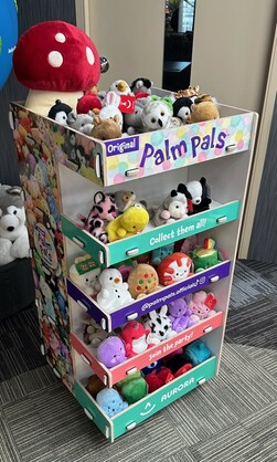 PALM PAL DISPLAY UNIT ONLY