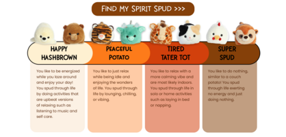 24 ASSORTED SPUDSTERS PACK