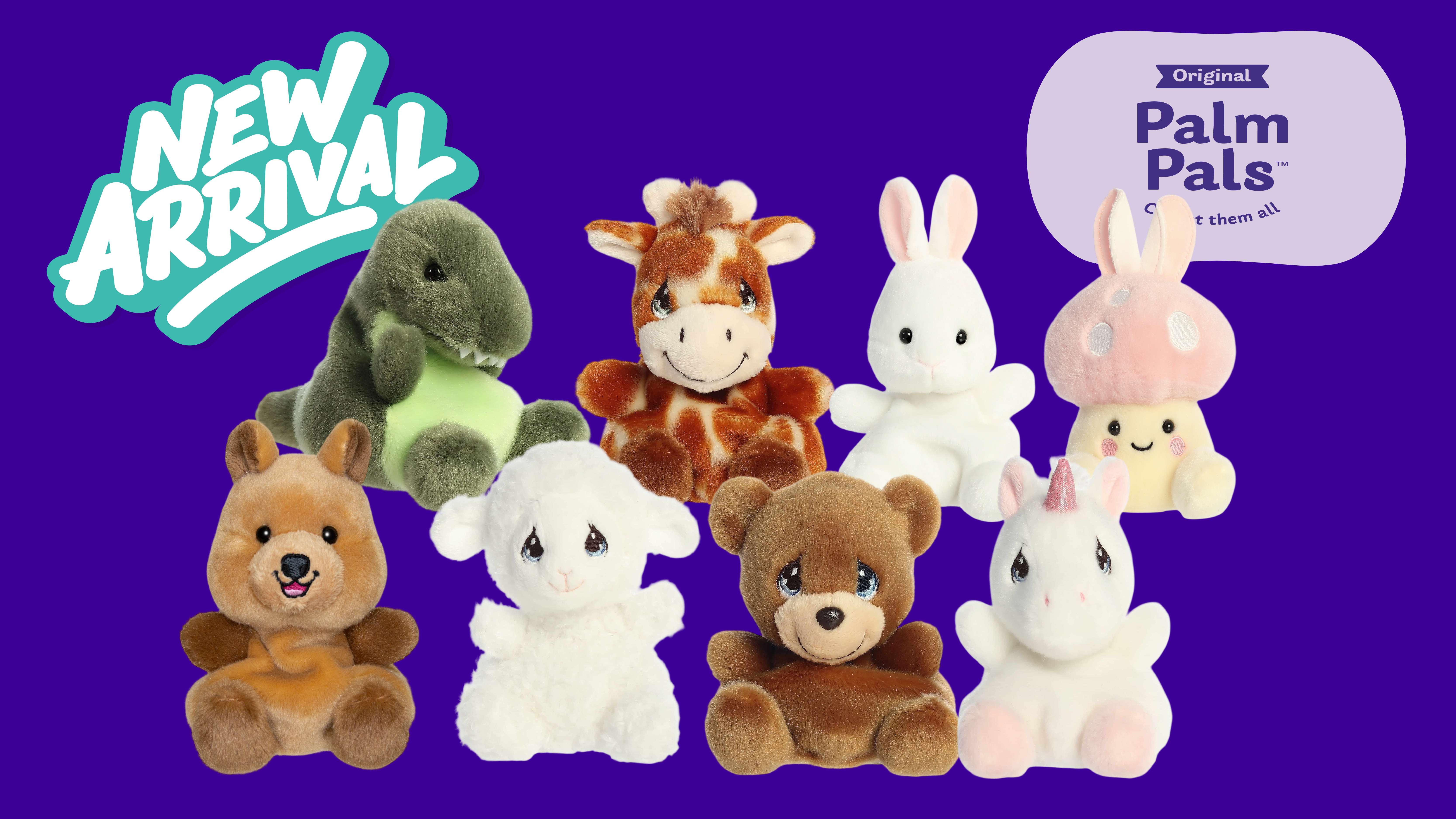 PLMMAR PALM PAL MAR RELEASE 8 x 6EA