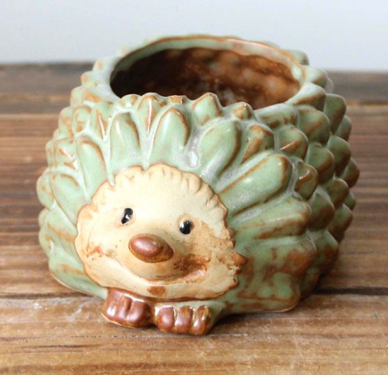 Wholesale Ceramic Hedgehog Pot Sunrise Accessories Fieldfolio