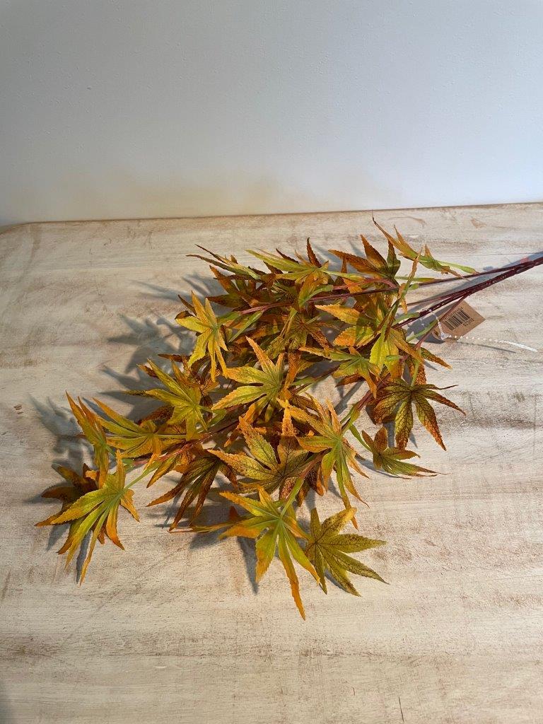 Wholesale Autumn Leaves Sunrise Accessories Fieldfolio