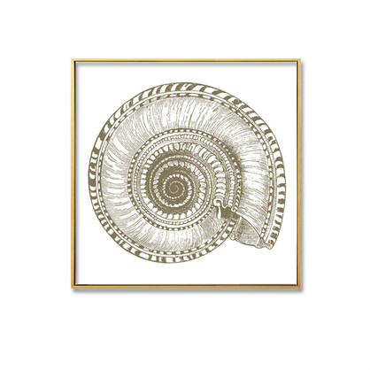 Gold Seashell 50% Disc