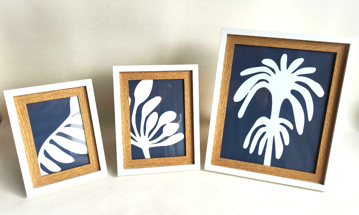 Photo Frame Style Shot White