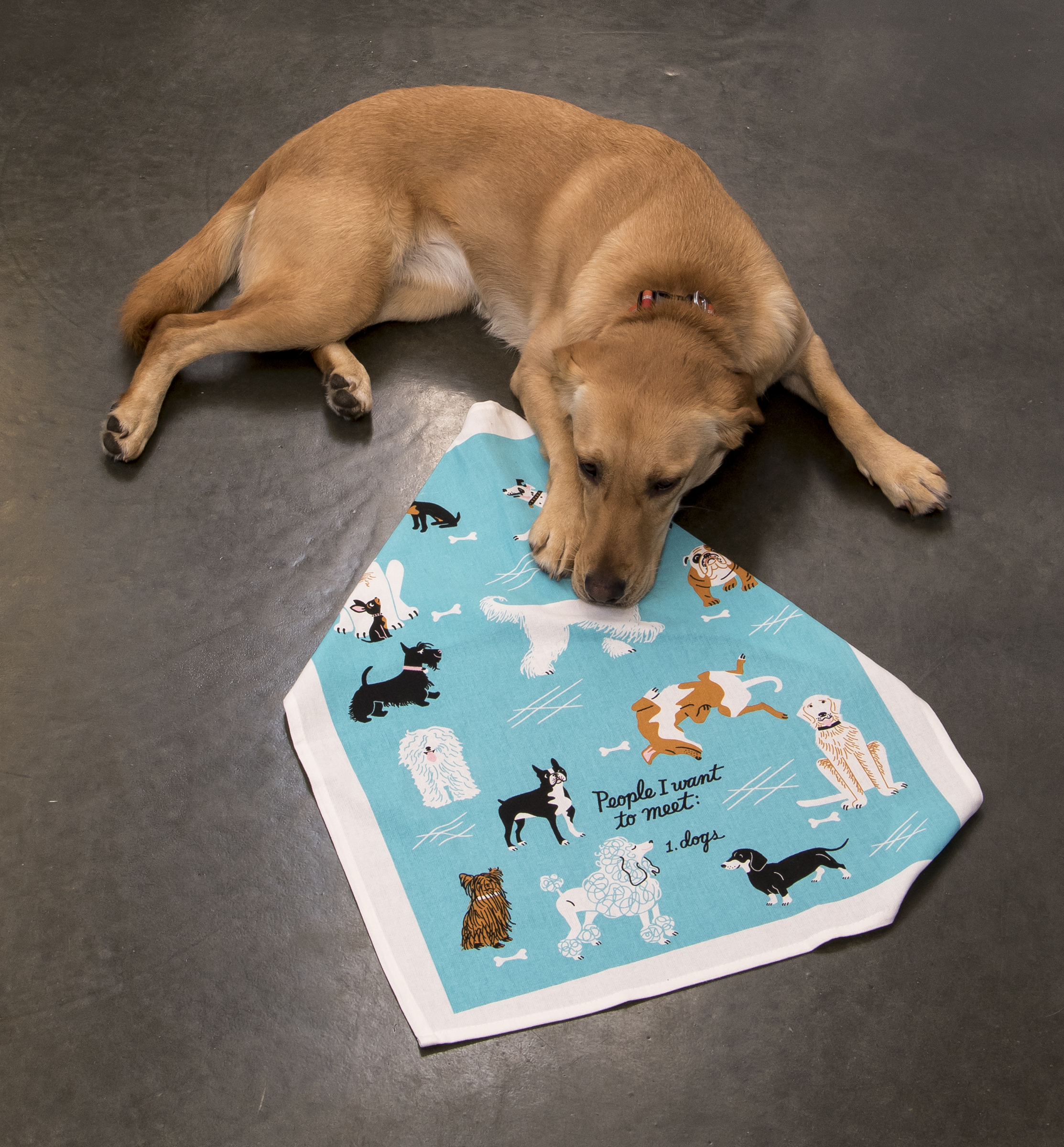 Dish Towel - People To Meet: Dogs