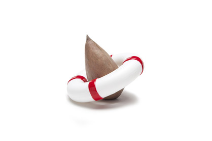 Seed Guard - Seed Growing Device