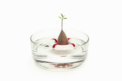 Seed Guard - Seed Growing Device