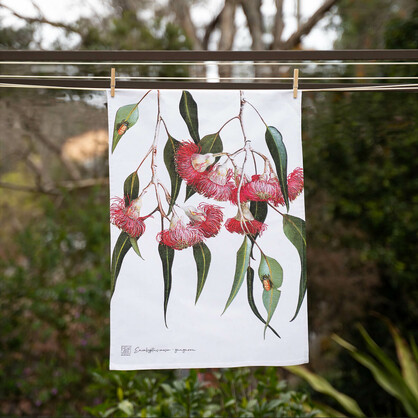 Australian Native Tea Towels - Eucalyptus