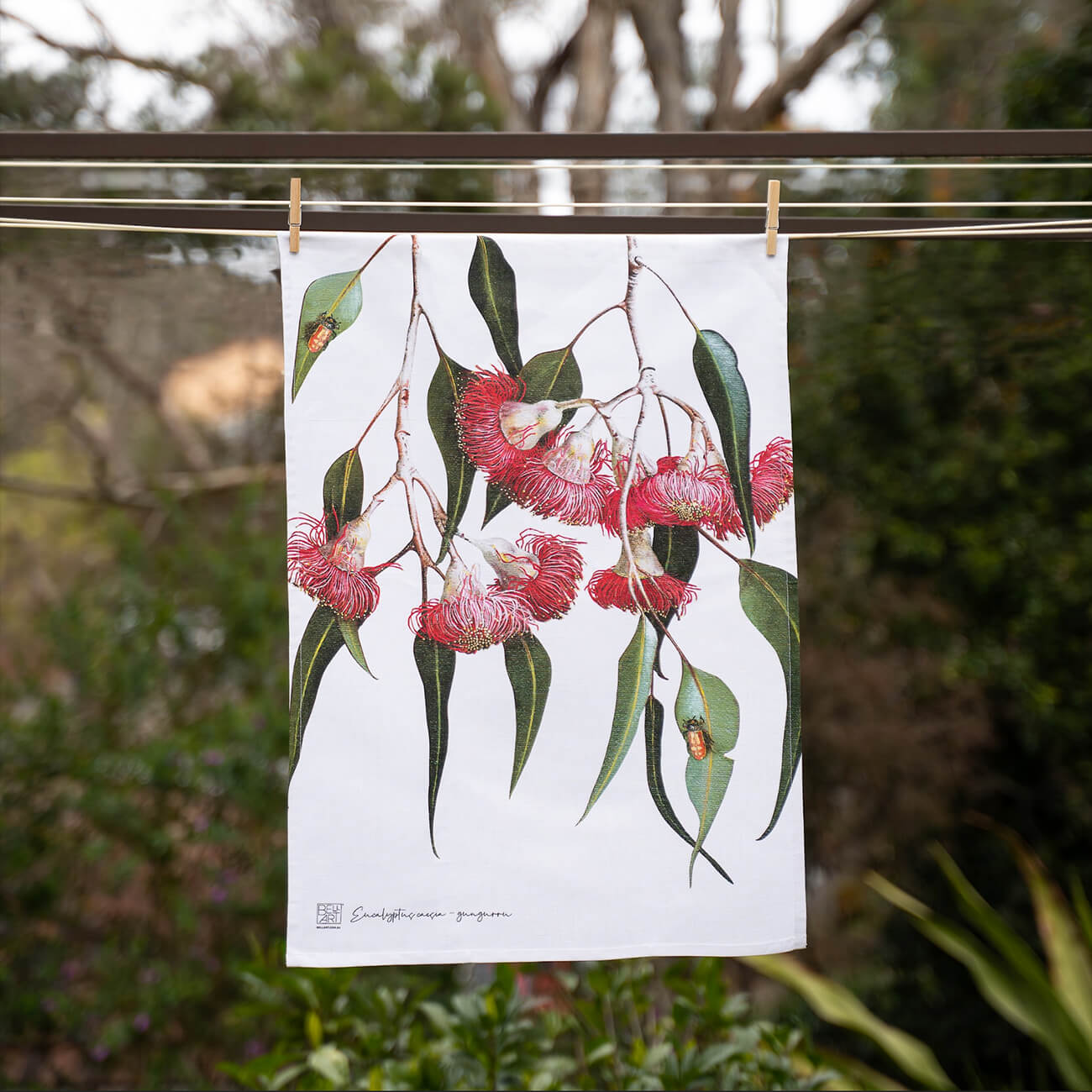 Australian Native Tea Towels - Eucalyptus