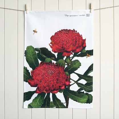 Australian Native Tea Towels - Waratah