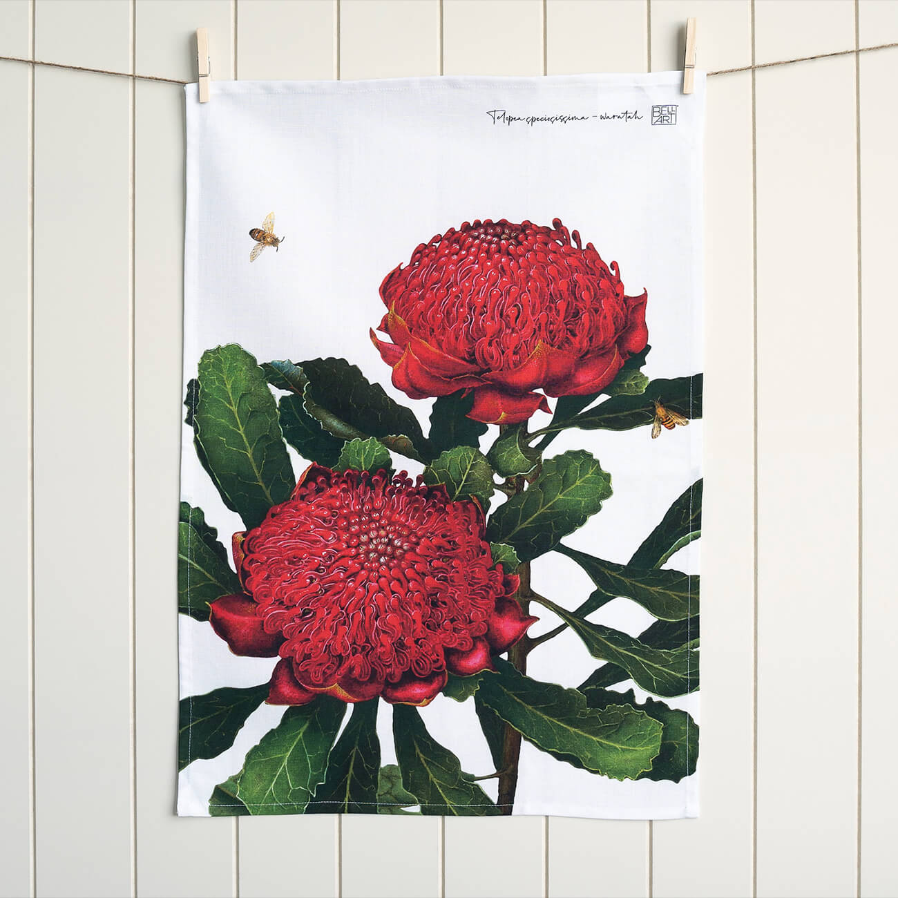 Australian Native Tea Towels - Waratah