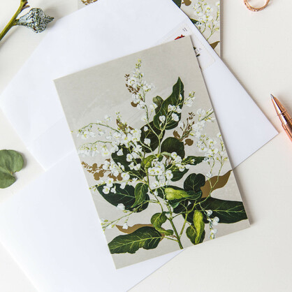 White Collection Boxed Cards