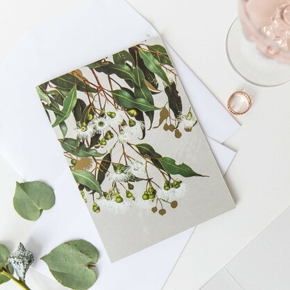 White Collection Boxed Cards