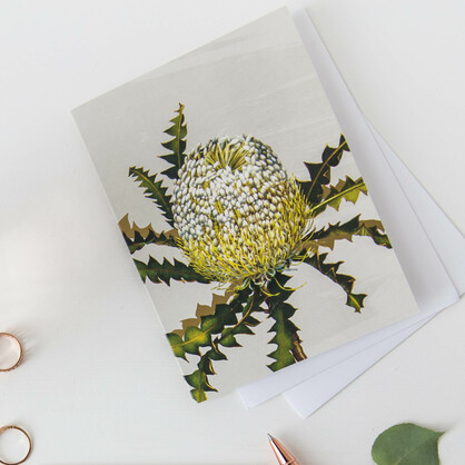 White Collection Boxed Cards