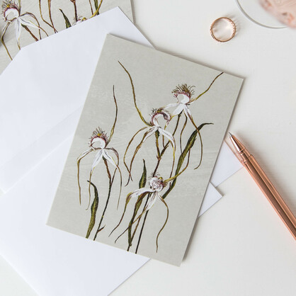 White Collection Boxed Cards
