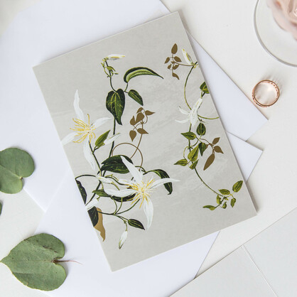 White Collection Boxed Cards