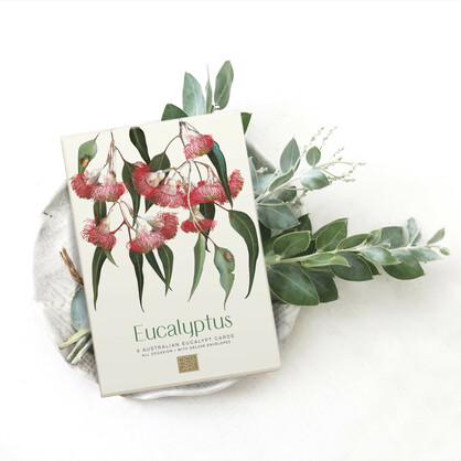 Eucalyptus Boxed Cards