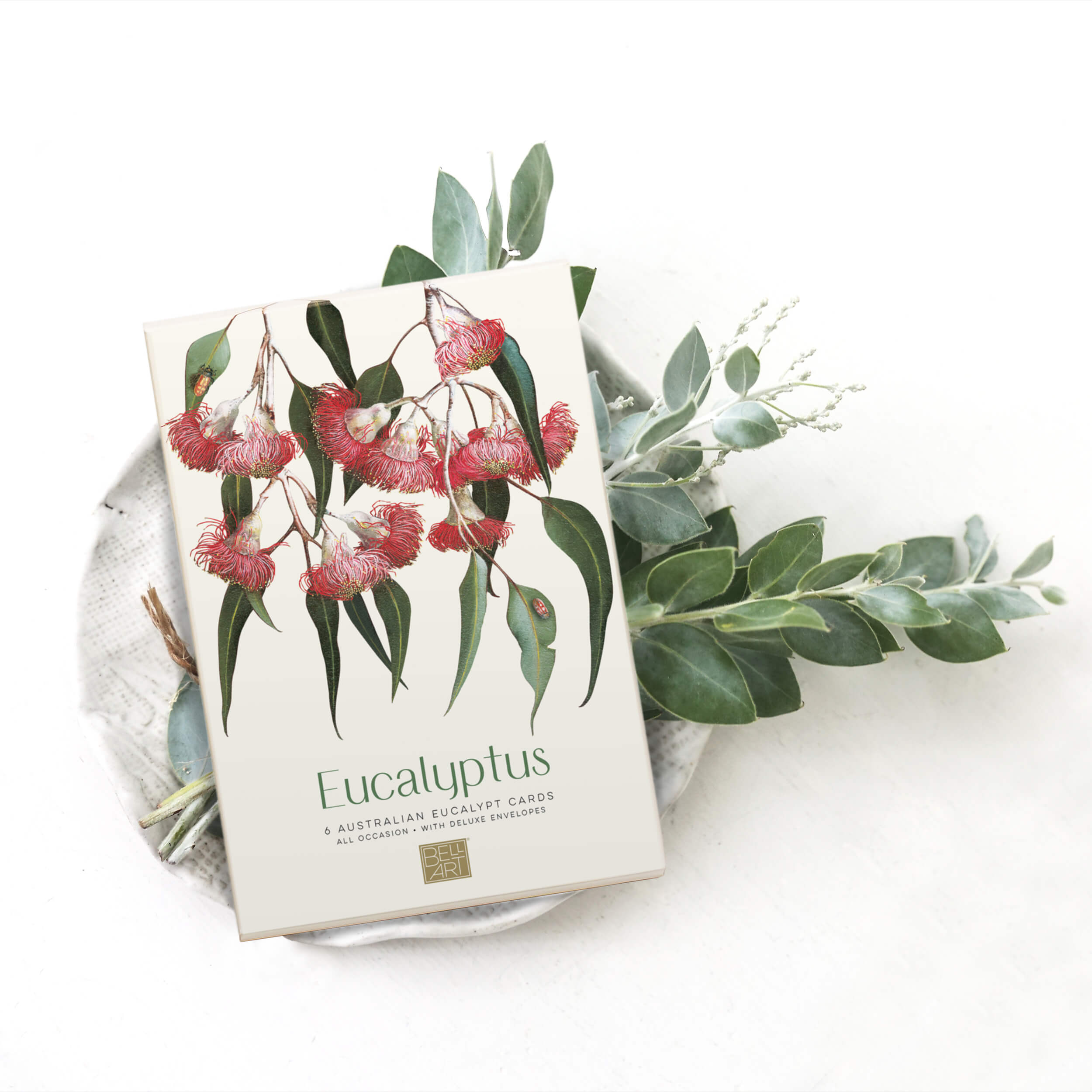 Eucalyptus Boxed Cards
