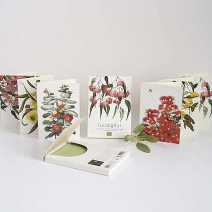 Eucalyptus Boxed Cards