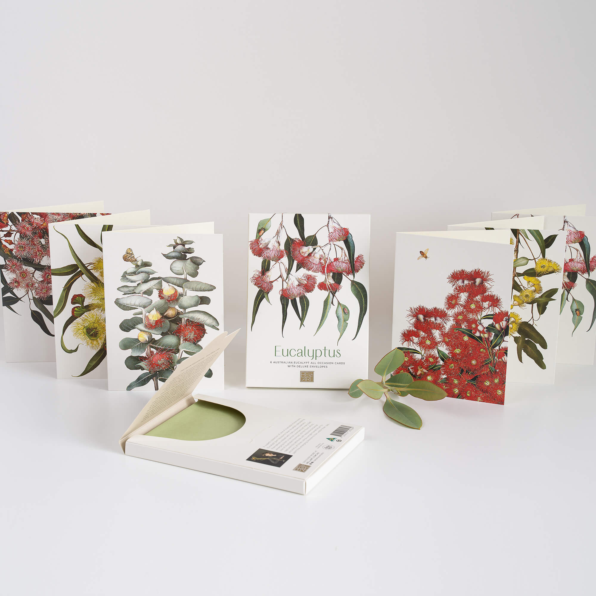 Eucalyptus Boxed Cards