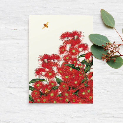 Eucalyptus Boxed Cards