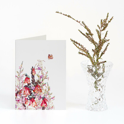 Woodlands Boxed Cards