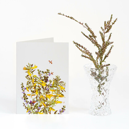 Woodlands Boxed Cards