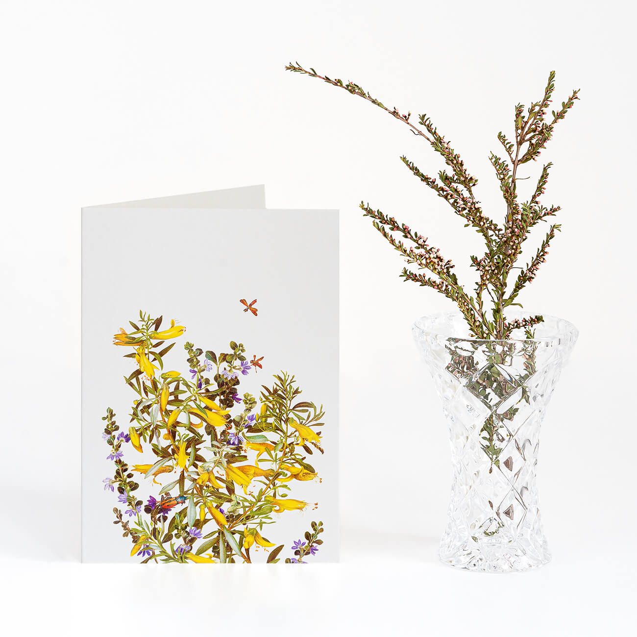 Woodlands Boxed Cards