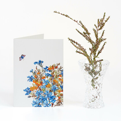 Woodlands Boxed Cards