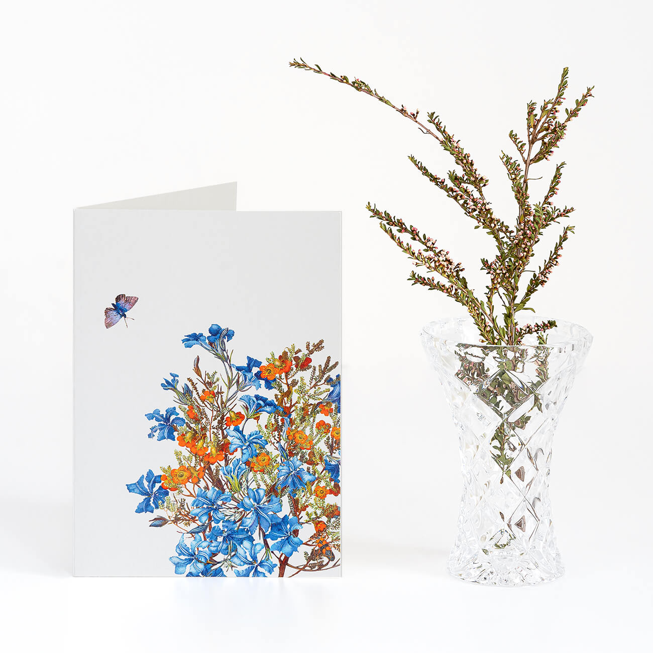 Woodlands Boxed Cards