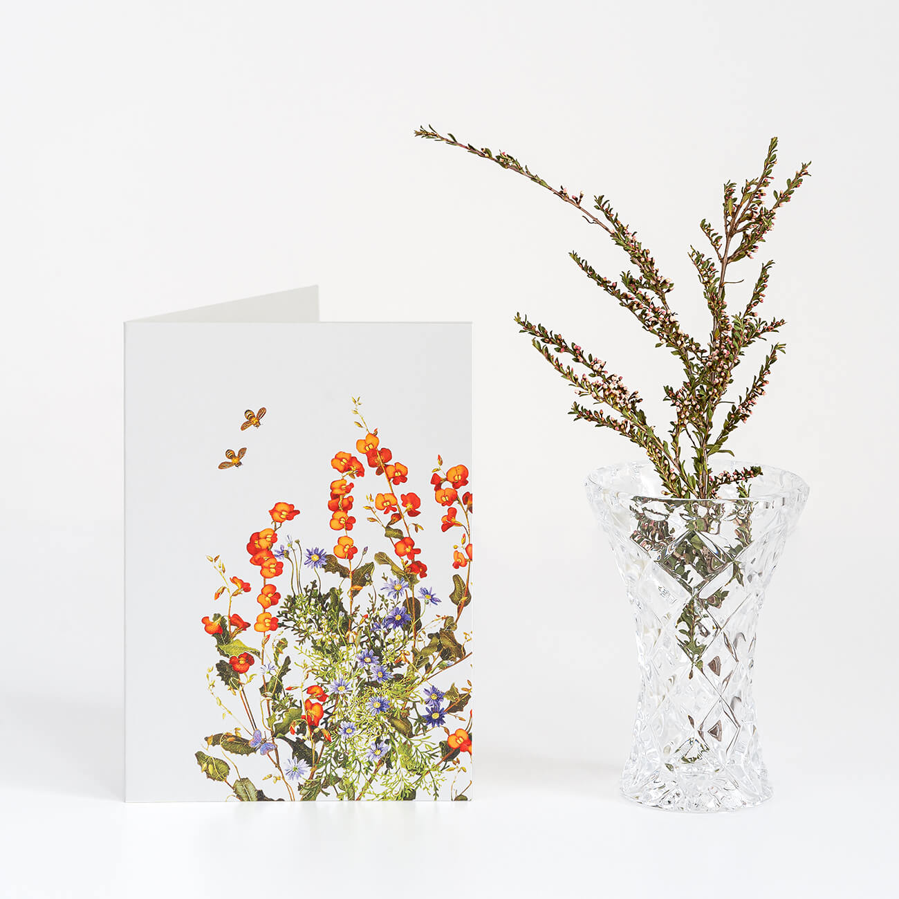 Woodlands Boxed Cards