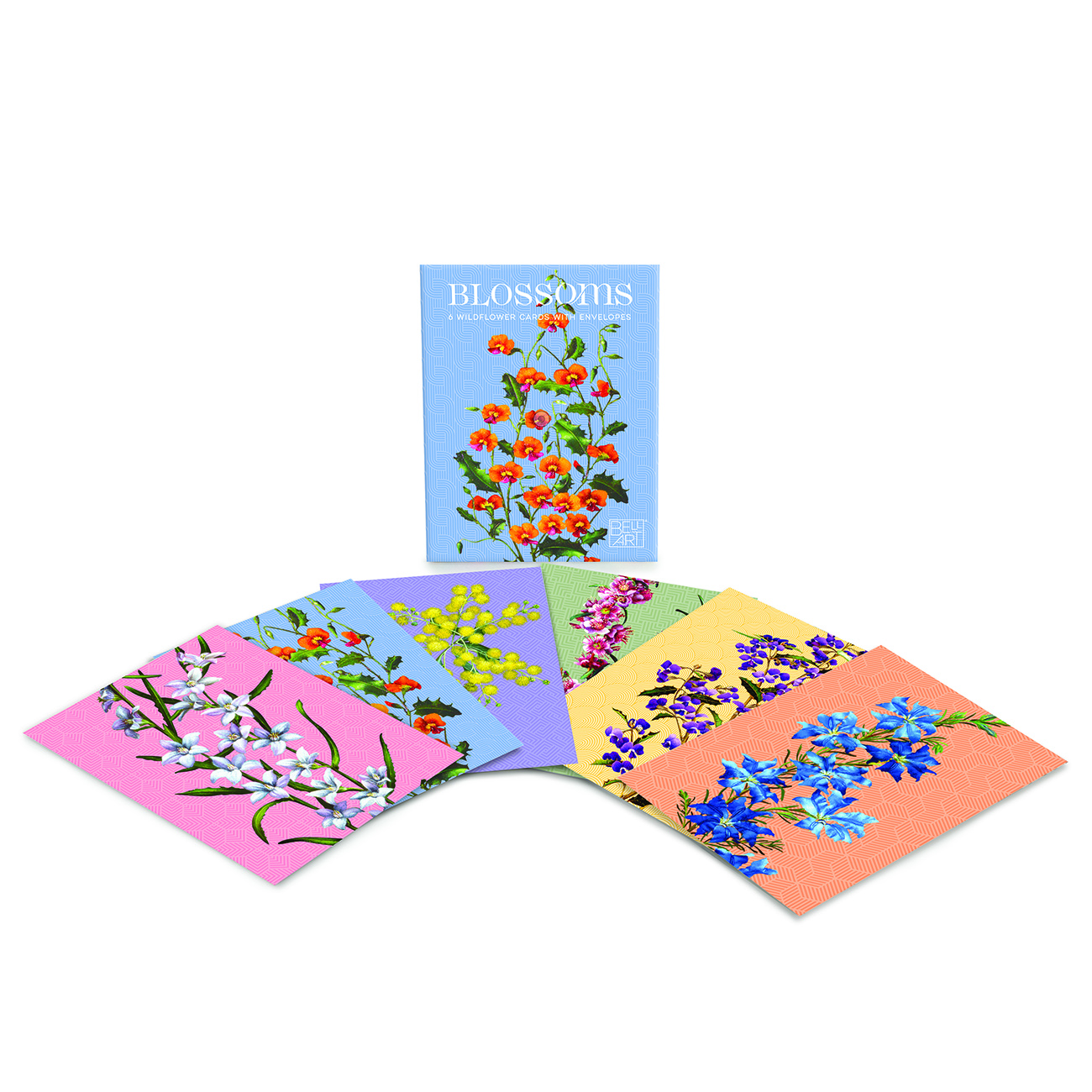 Blossoms Boxed Florist Cards