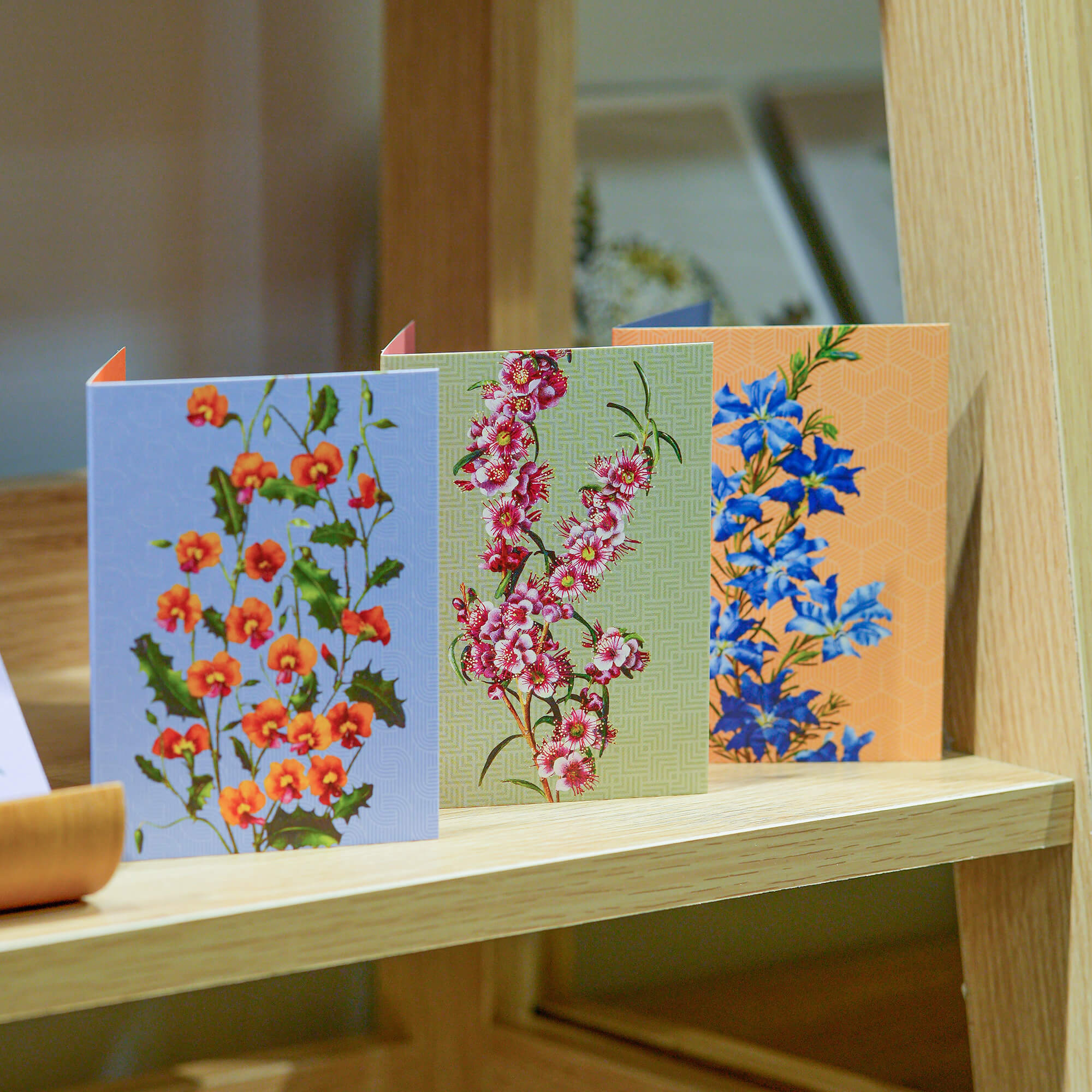 Blossoms Boxed Florist Cards