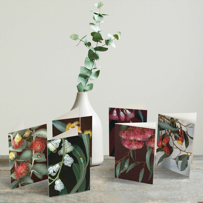 Gum Bug Boxed Florist Cards