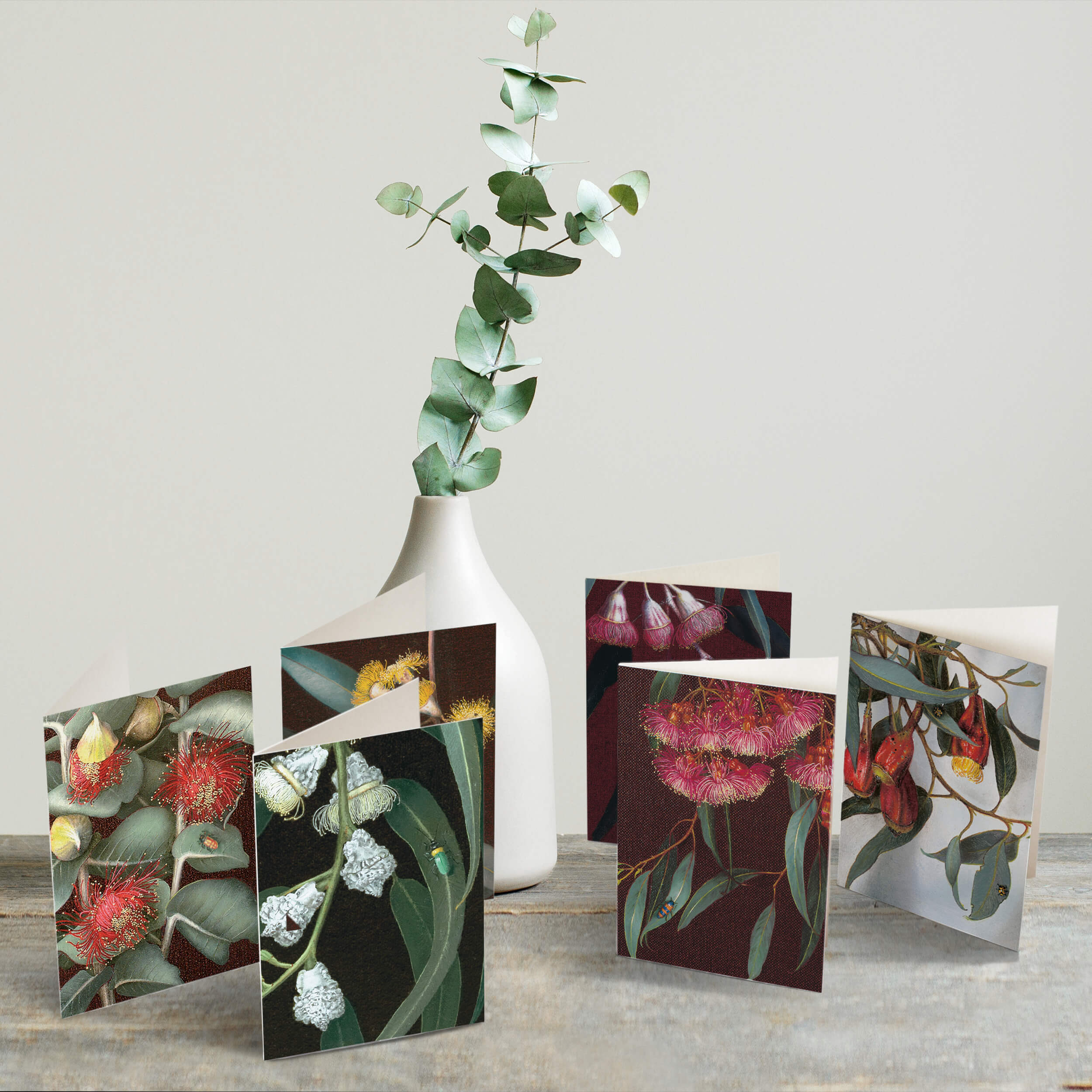 Gum Bug Boxed Florist Cards