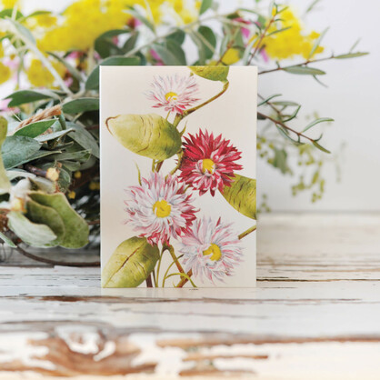 Mini Florist Gift Cards
