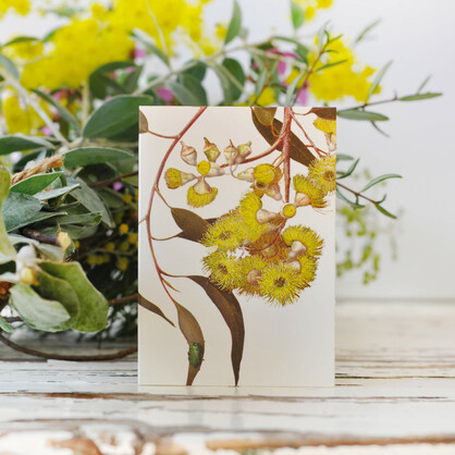 Mini Florist Gift Cards