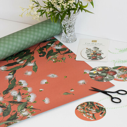 Eucalyptus Wrapping Paper - Marri Gum