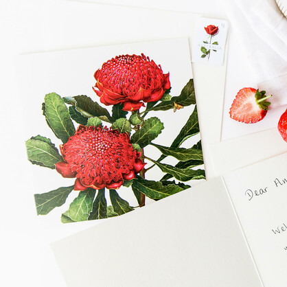 Floral Emblems Art Card - Waratah (NSW)