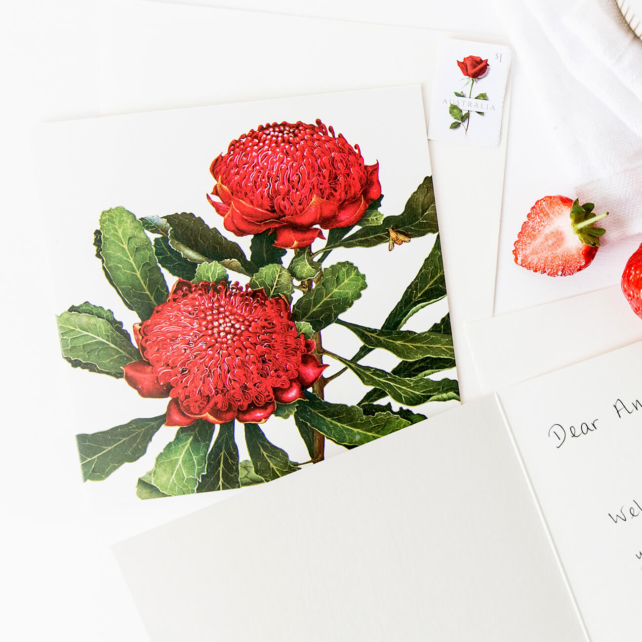 Floral Emblems Art Card - Waratah (NSW)