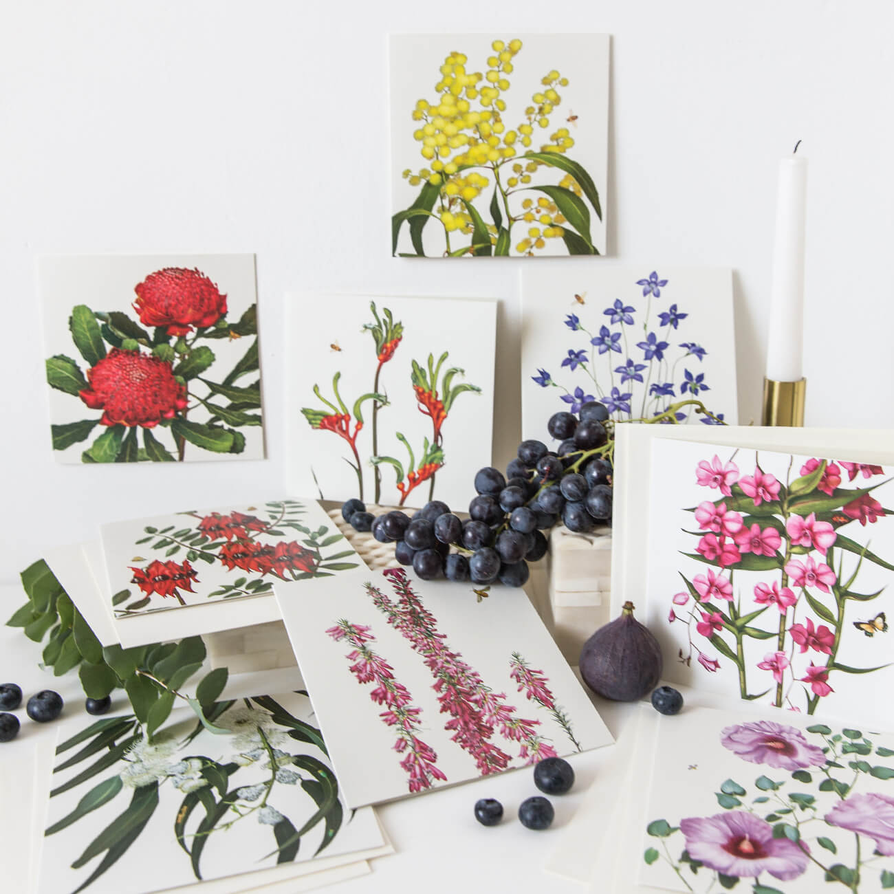 Floral Emblems Art Card - Waratah (NSW)