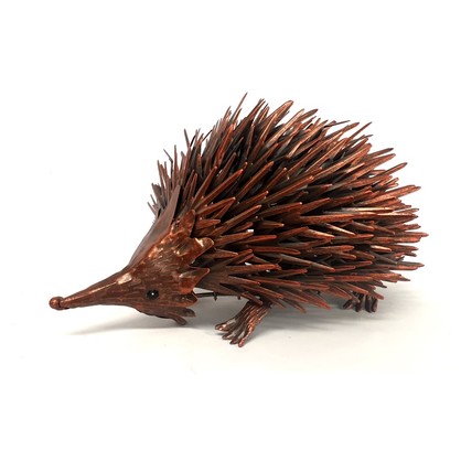 BHB18234 - ECHIDNA