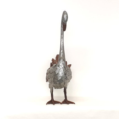 BHB17603 - SWAN