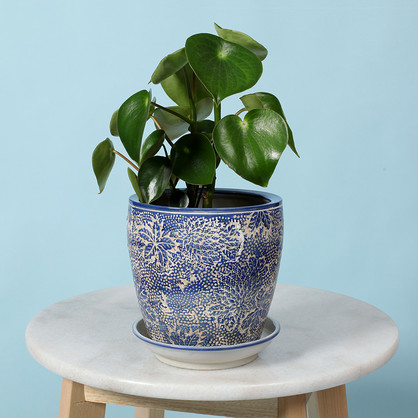 PE0080 - SET 4 PLANTERS - MARIMEKKO