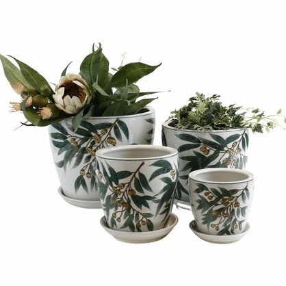 PE0088 - GUM NUTS  PLANTERS - SET OF 4