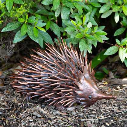 BHB18234 - ECHIDNA