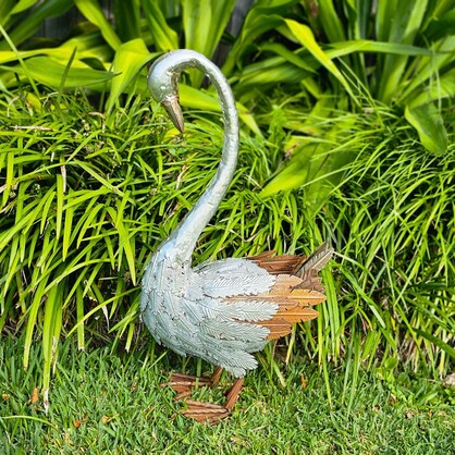 BHB17603 - SWAN